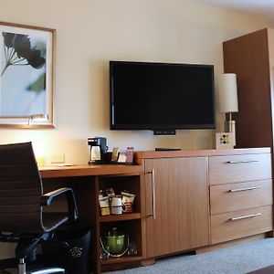 One-Bedroom King Suite Sofa Bed